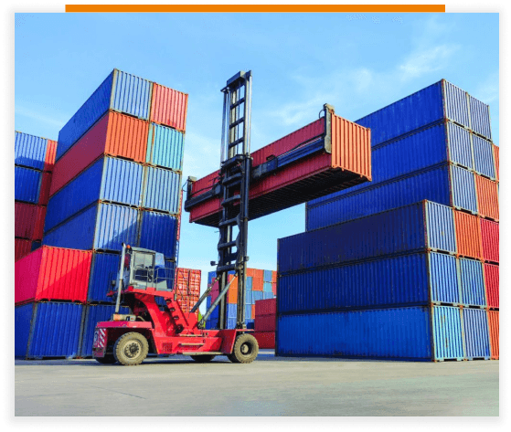 Domestic Cargo Service